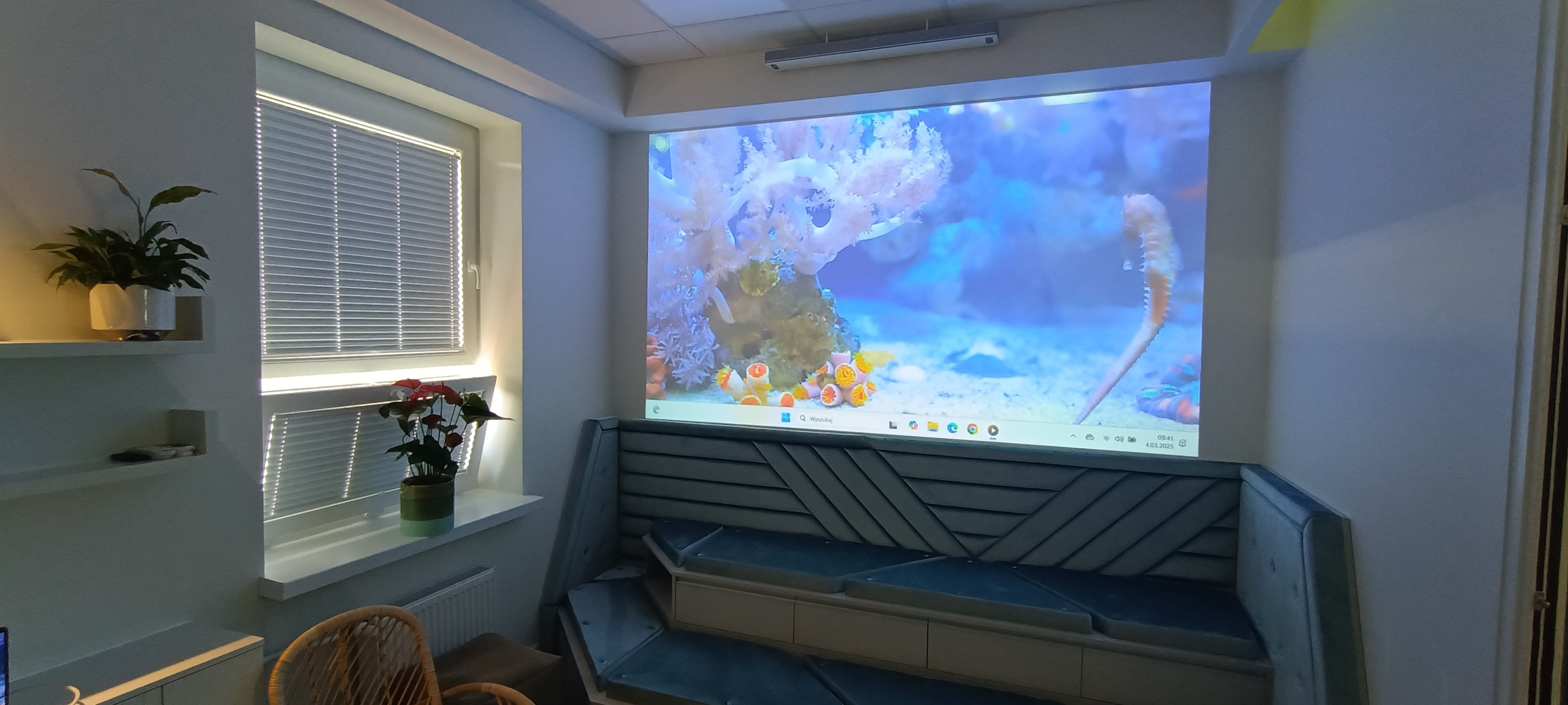 IMG_20250304_093926647